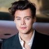 Harry Styles mostra através de seus looks sua personalidade