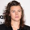 Harry Styles é um dos cantores mais prestigiados do momento!