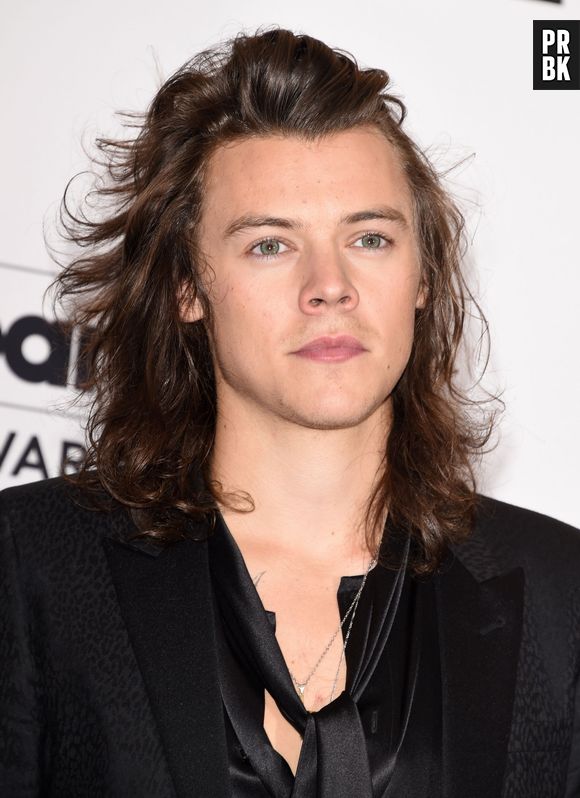 Harry Styles é um dos cantores mais prestigiados do momento!