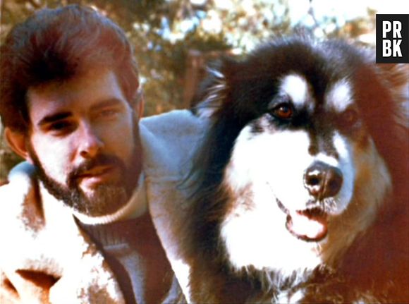 O cão Indiada de George Lucas foi a inspiração para criar Chewbacca de "Star Wars"