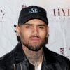 Em 2020, Chris Brown foi surpreendido com a presença de uma mulher em sua casa. A invasora teria afirmado que era "parceira de vida" do artista e acaba sendo retirada pelos seguranças