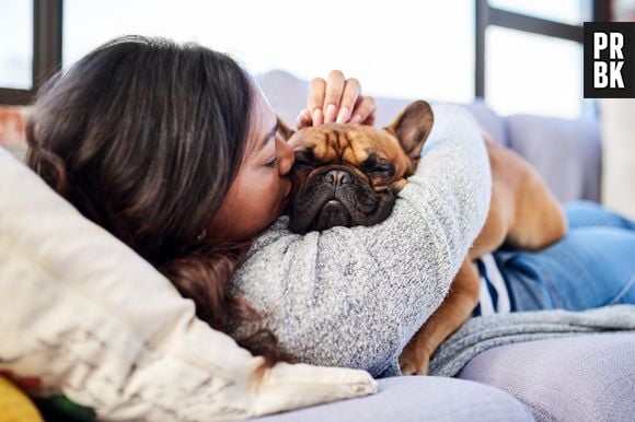 Nossos pets podem ser grandes aliados da saúde mental