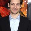 "Homem-Aranha", lançado em 2002, contou com Tobey Maguire no papel do protagonista e é uma das adaptações favoritas des fãs do super-herói