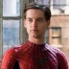 Louis Leterrier, diretor de "O Incrível Hulk", não conseguiu colocar o Homem-Aranha (Tobey Maguire) no filme do Bruce Banner (Edward Norton), por causa de questões de direitos entre Sony e Marvel