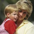 Príncipe Harry chegou a acreditar que Princesa Diana teria forjado a própria morte