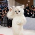 Jared Leto surpreende ao aparecer fantasiado de gato para o Met Gala