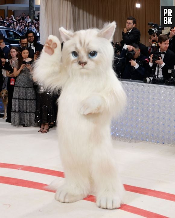 Jared Leto surpreende ao aparecer fantasiado de gato para o Met Gala