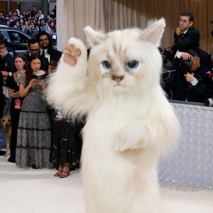 Jared Leto surpreende ao aparecer fantasiado de gato para o Met Gala