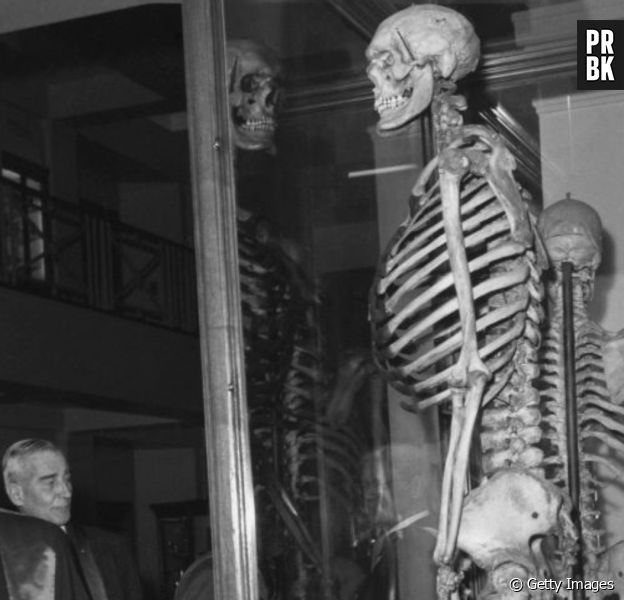 Esqueleto de "gigante" que não queria virar peça de museu é retirado de exposição após mais de 200 anos