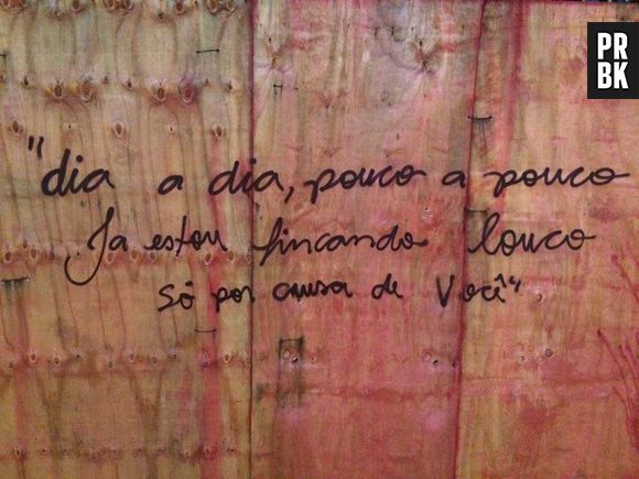 Versinho do pagode do "Raça Negra" é coisa de apaixonado brega