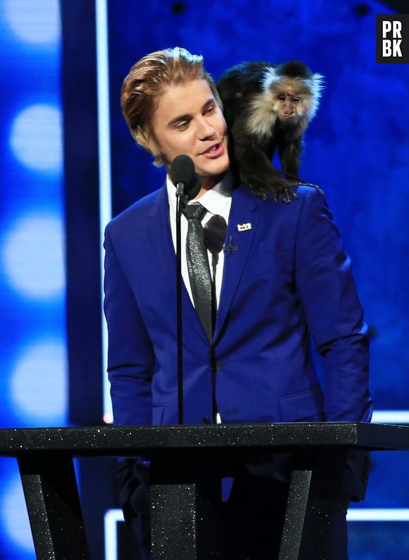 Uma das piadas sobre Justin Bieber no Comedy Central Roast foi relacionada a sua polêmica envolvendo um mico de estimação