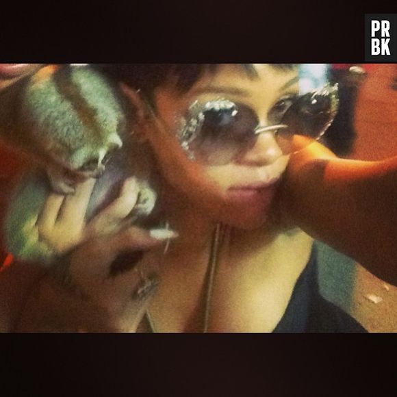 Recentemente, Rihanna se meteu em confusão na Tailândia, por causa de foto com bichinho