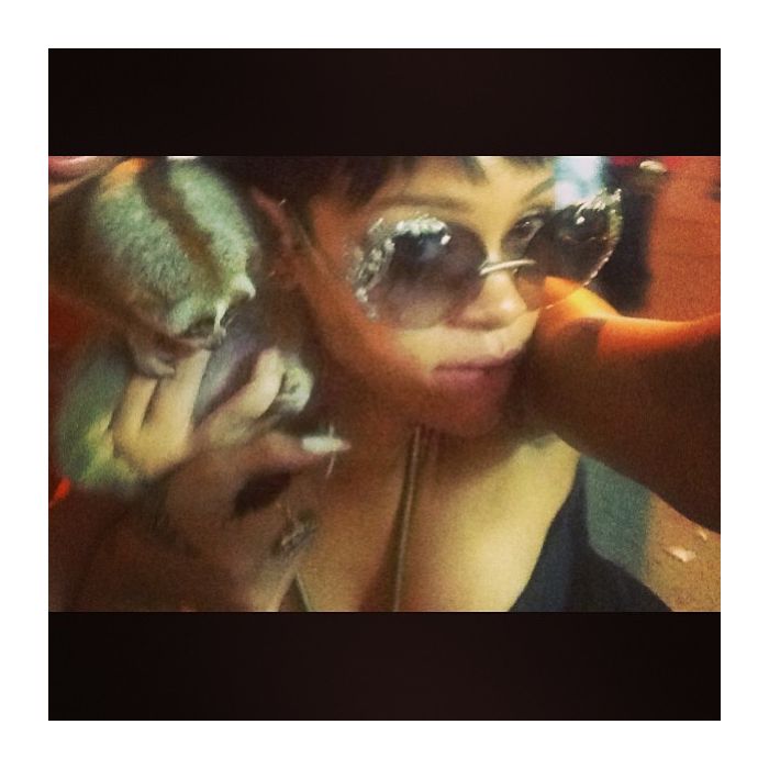 Recentemente, Rihanna se meteu em confusão na Tailândia, por causa de foto com bichinho