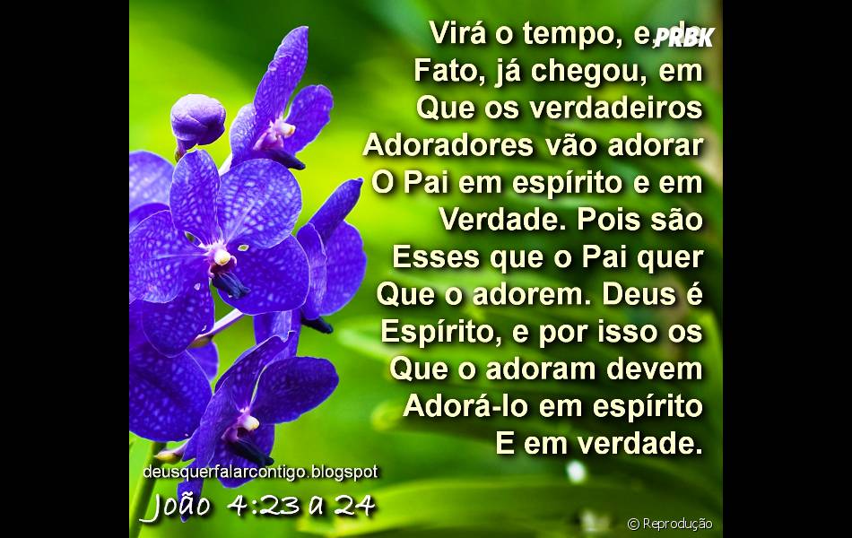 Sempre Tem Aquela Tia Que Manda Frases Religiosas Todo Santo Dia Purebreak