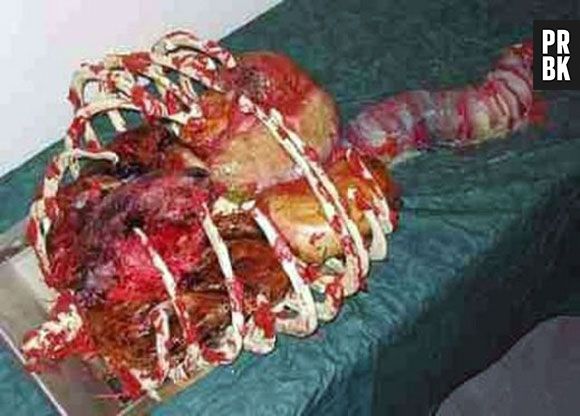 Com esse bolo você se alimenta e ainda aprende sobre ciência. Bacana, né?