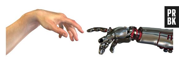 Será que Torobo-kun consegue passar na Universidade de Tóquio até 2021?