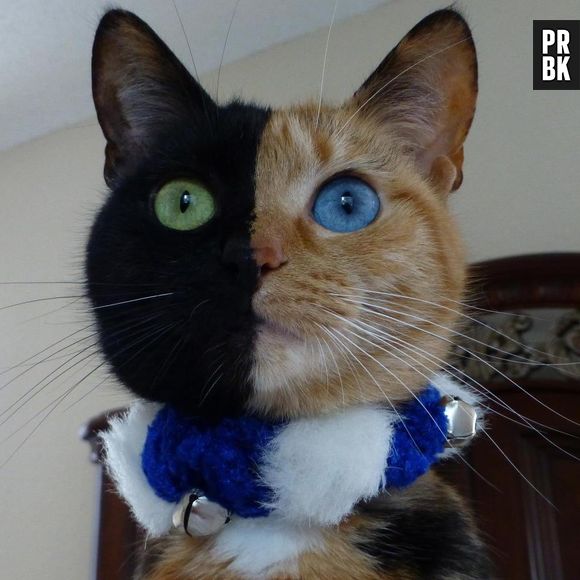 Coisas que existem, mas ninguém nunca viu