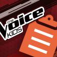 As inscrições do "The Voice Brasil Kids" já estão encerradas e o reality estreia em janeiro de 2016 na Globo