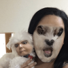 O cachorrinho não ficou tão bonitinho depois do Face Swap