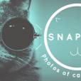 Snapcat: o app para o seu gatinho fazer selfies