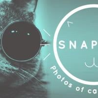 Snapcat, Meow Snap e outros aplicativos para seu gato tirar as próprias selfies!