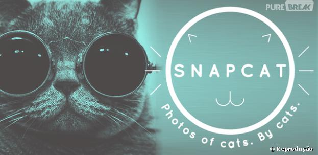 Snapcat: o app para o seu gatinho fazer selfies