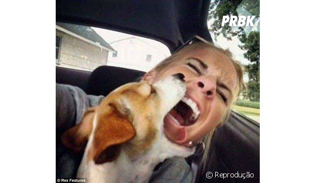 As vezes o seu bichinho nem quer participar da selfie. Respeita, ow!