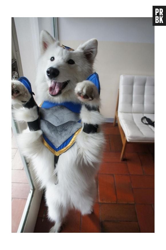 "League Of Legends": Cosplay Volibear (o mais fofo do mundo!)