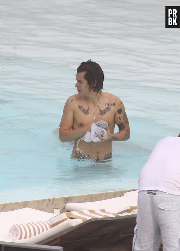 Harry Styles adora exibir suas diversas tatuagens