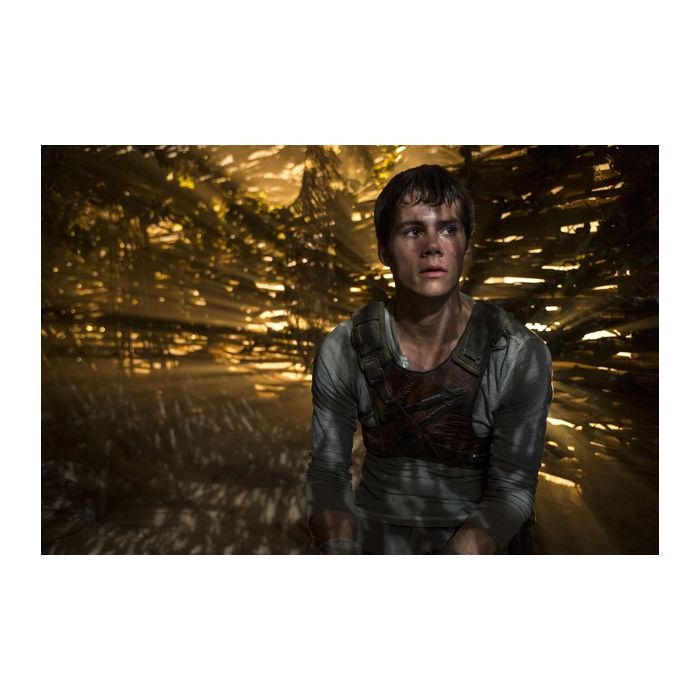 Sequência de Maze Runner é confirmada e já tem data de estreia