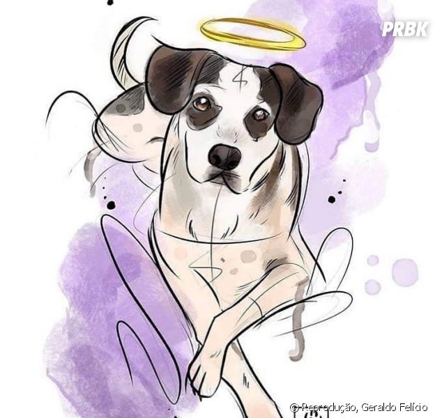 Memes Cao Troll Animais Cachorro Pagina 4 Criarmeme Com Br