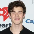 Kids' Choice Awards 2019: Shawn Mendes concorre nas categorias Artista Masculino Favorito e Música Favorita