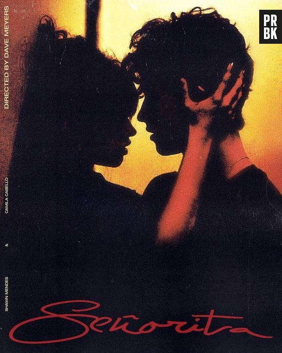 Depois de "I Know What You Did Last Summer", Camila Cabello e Shawn Mendes lançam "Señorita"