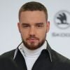 Fotógrafo compartilha foto de Liam Payne pelado