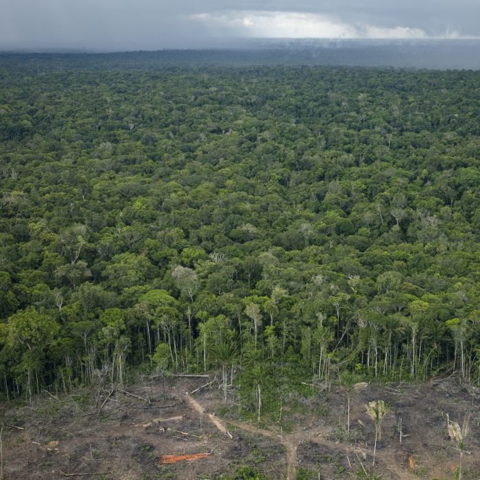 Temos apenas 18 meses para salvar o planeta - e as queimadas na Amazônia não ajudam em nada