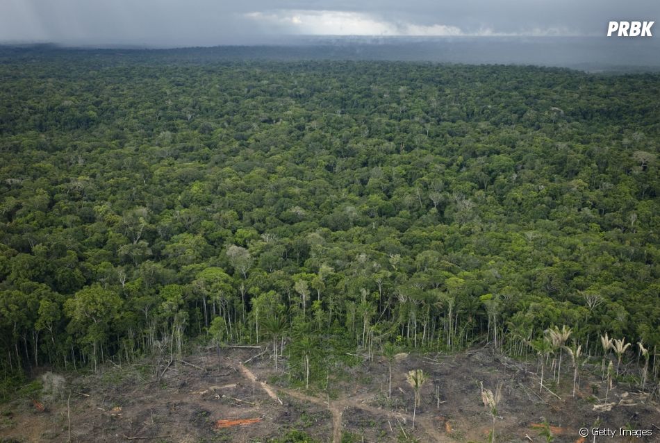 Temos apenas 18 meses para salvar o planeta - e as queimadas na Amazônia não ajudam em nada