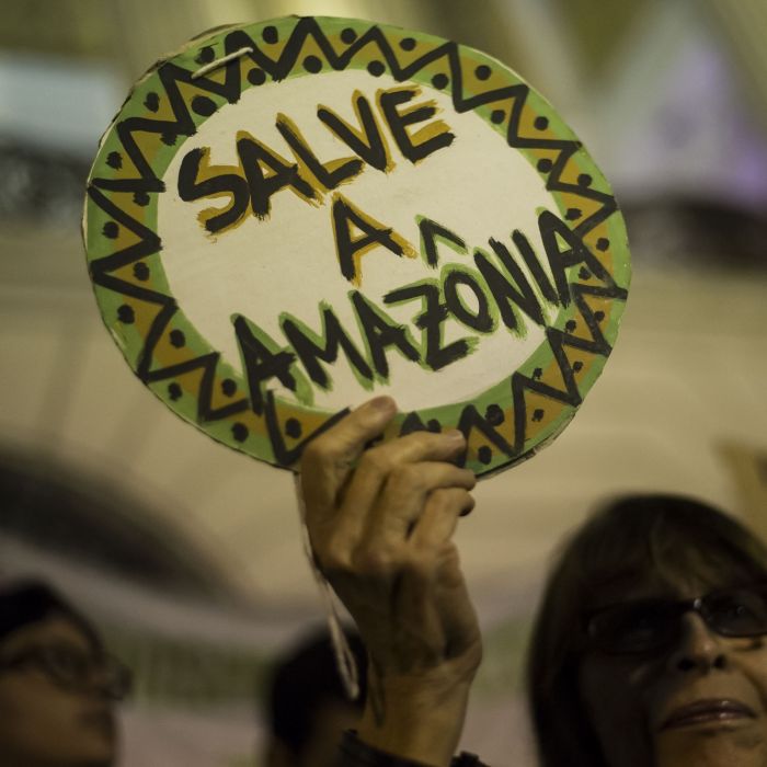 Após queimadas, pessoas do mundo inteiro começaram a protestar a favor da Floresta Amazônia