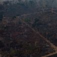 Queimadas na Amazônia já destruíram o equivalente a  20 milhões de campos de futebol, só no Pará   