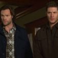  
 
 
 
 
 
 
 
 
 
 
 
 Final "Supernatural": início do fim está próximo para os Winchester na última temporada 
 
 
 
 
 
 
 
 
 
 
 
 