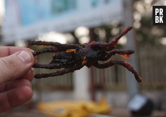 Fritar e comer aranhas pode parecer nojento, mas é um hábito comum no Camboja, Ásia