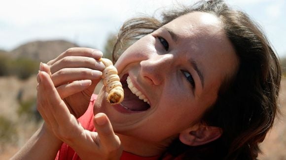 14 comidas bizarras do mundo que você não vai querer comer!