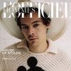 Harry Styles fará dois shows no Brasil em 2020