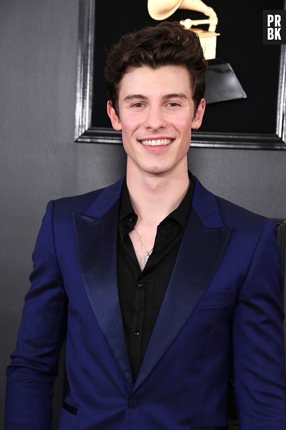 Shawn Mendes completa 22 anos neste sábado (8)
