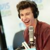 Shawn Mendes já acumula vários singles de sucesso em sua carreira