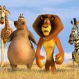 "Madagascar" conta a divertida história de um grupo de animais que precisa sobreviver na selva!