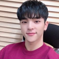 Fãs do Stray Kids estão suspeitando de que Woojin e o grupo já não se davam bem há um tempo