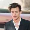 Harry Styles: faça o quiz e descubra qual fase do cantor mais combina com você