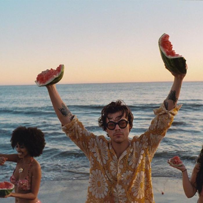 Harry Styles e sua &quot;Watermelon Sugar&quot; arrasaram nas paradas pelo mundo afora
