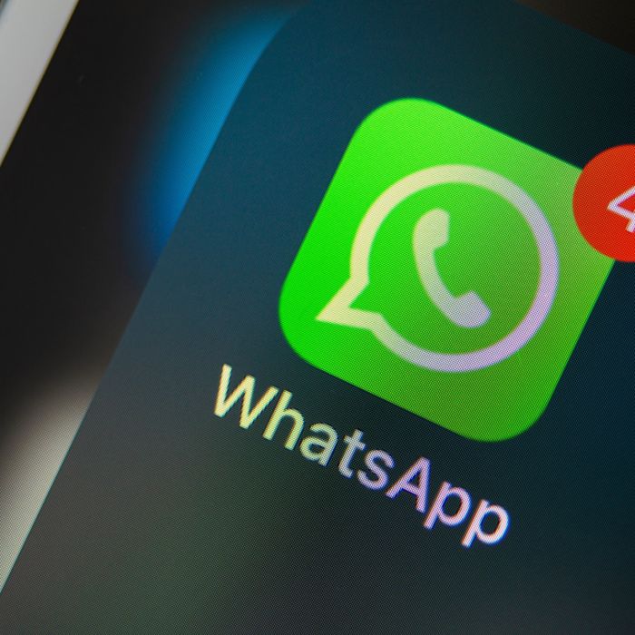 WhatsApp: ligações de vídeo em grupo pelo computador ainda não foram liberadas