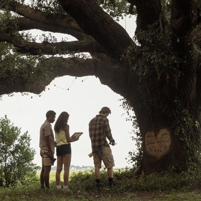 Na segunda temporada de &#039;Outer Banks&#039;,  JJ, Klara e Pope aparecem em frente a uma árvore fazendo um coração e fazendo uma espécie de cerimônia de despedida 